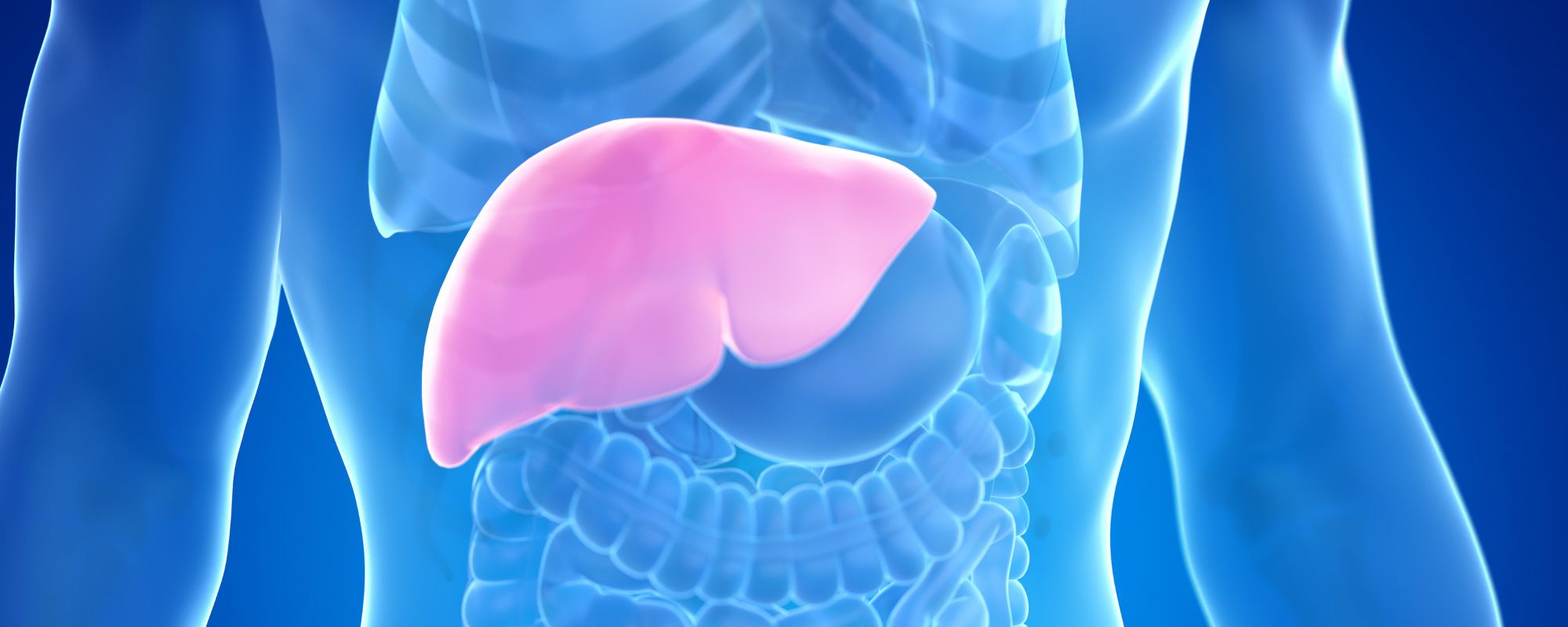 How to Tell if Your Liver Detox is Working