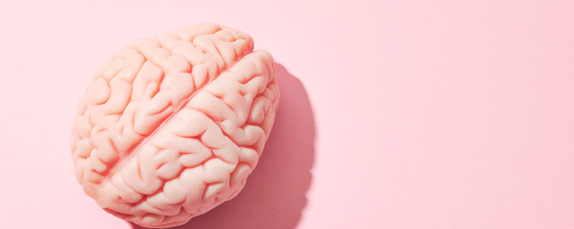 Your Complete Guide to Mental Health Skill Building